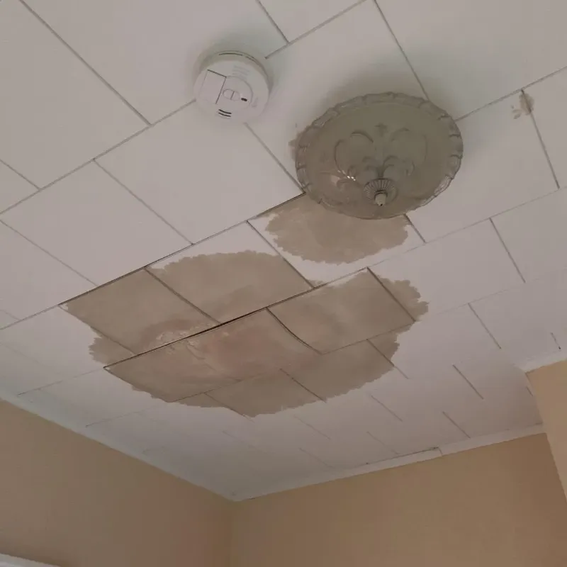 Ceiling Water Damage Repair in Hemphill, TX