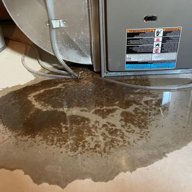 Pipe Burst and Leak Restoration in Hemphill, TX