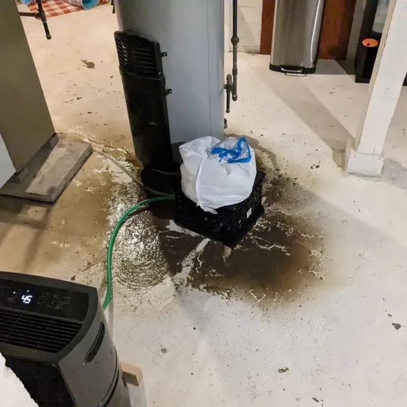 Sewage Backup Cleanup Service in Hemphill, TX